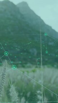 Vertical video: Cam pushing forward, grass swaying, teal nodes growing, drifting, showing network