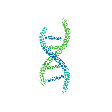 A molecular illustration showing a double helix structure formed by colored dots