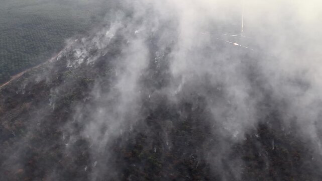 Smoldering peat soil fire sending smoke over burned vegetation captured from aerial drone.