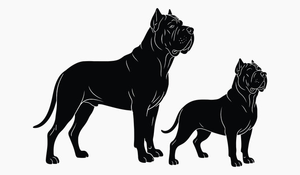 Cane Corso dog silhouettes black and white vector illustration