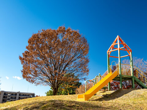 秋晴れの青空の下の公園の小さな丘の上の1本の紅葉したケヤキとカラフルな遊具