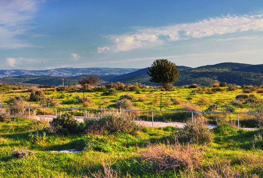 View on green biblical landscape and Archaeological Ruins Beit Guvrin Maresha during winter time, Israel. January 2019