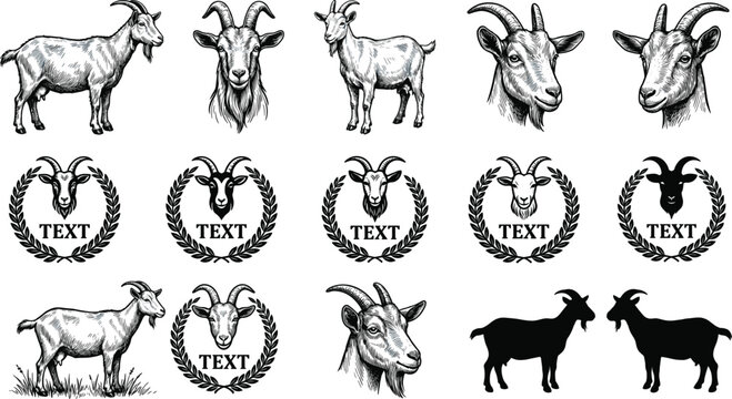 Vintage Goat Head and Silhouette Vector Icon Set Featuring Detailed Hand Drawn Sketches and Laurel Wreath Logo Templates for Farm Branding, Meat Shops, and Agricultural Graphic Designs