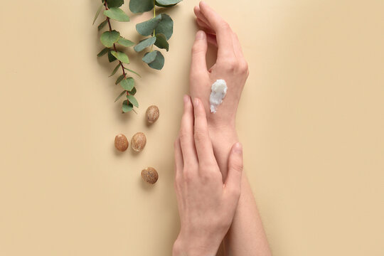 Female hands with shea nuts and green twigs on beige background