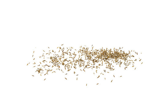 Top view of scattered cumin or caraway seeds on a white sheet, minimalist food spice background with copy space.
