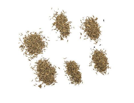 Top view of six small piles of cumin seeds arranged like a flower on Transparent Background with copy space.