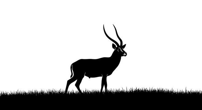 Antelope silhouette with large horns standing in grassy field