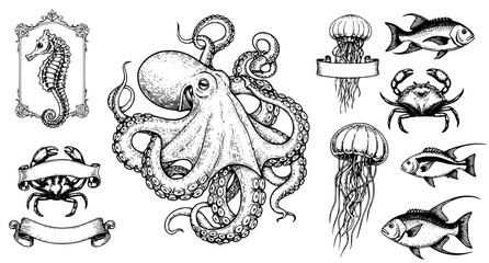 Marine life collection featuring octopus seahorse jellyfish fish and crab in detailed black and white vintage engraving style with decorative banners © Neoviz Studio