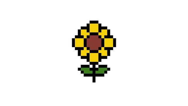 8-bit pixel art Japanese summer sunflower icon. looped animation 4k 30fps