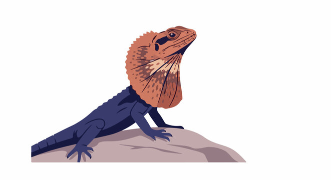 A frilled lizard with a purple body and orange frill sits on a rock