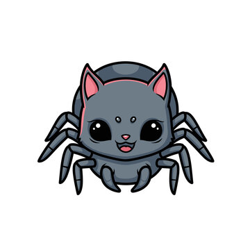 Cute cartoon spider cat hybrid character with a grey feline head, pointed ears, large expressive black eyes, and eight spider legs, isolated on white background as a vector illustration.