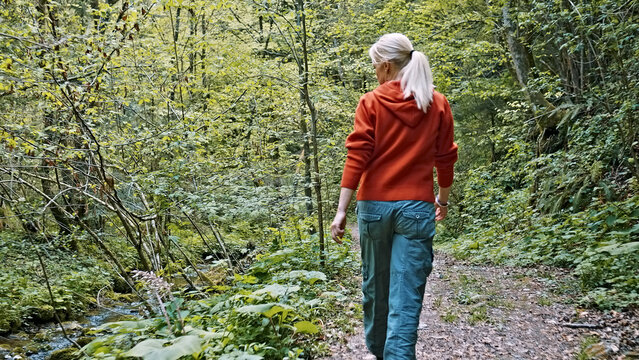 A caucasian woman in a red hoodie hikes along a forest trail, surrounded by lush greenery and flowing water, embodying the serenity of nature in springtime.