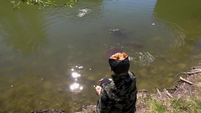 Young boy wearing camouflage sitting on the riverbank and feeding large carp fish in the water