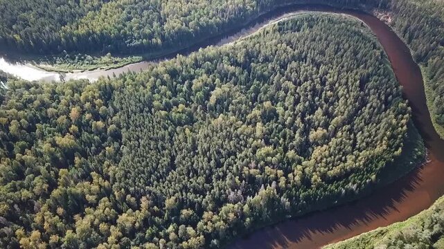 Meandering river Gauja in the floodplain forest, sun reflected on water, Latvia, drone clip