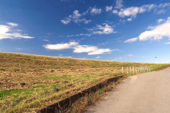 除草された冬の朝の江戸川土手風景