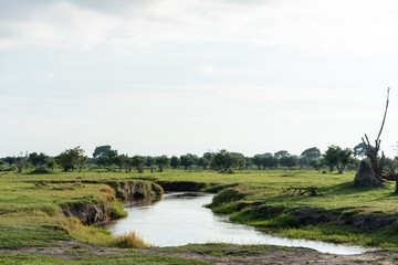 Fototapeta premium Winding River Through Green African Floodplain Landscape