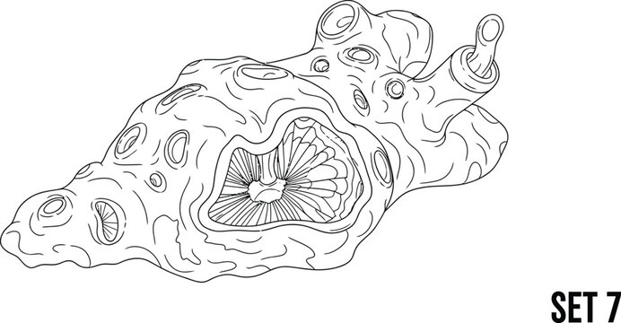 Line of an alien creature with bulbous protrusions and a flower-like mouth monster line black and white