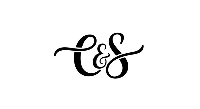 Elegant script CS monogram with ampersand logo on white