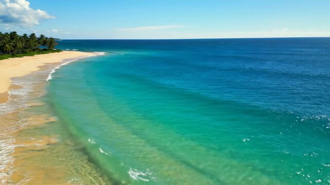 Aerial view of a tropical beach with turquoise ocean waves gently washing onto golden sand, palm trees line the shore under a clear blue sky, perfect for travel and vacation themes