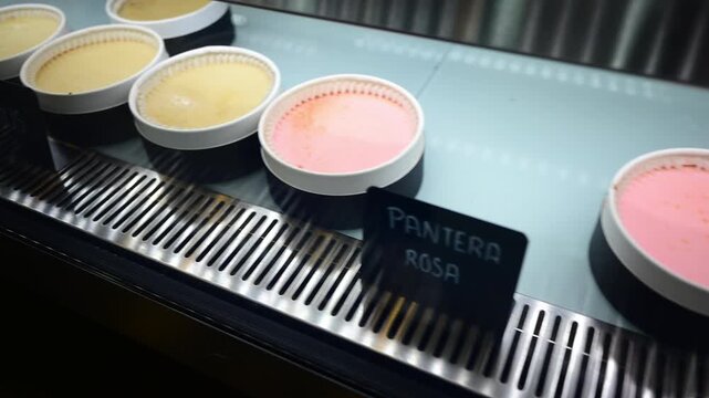 Delicious artisanal ice cream in a display case