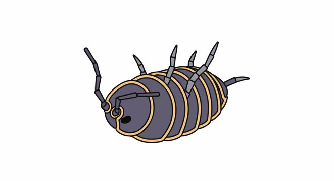A purple and yellow cartoon woodlouse is shown from above