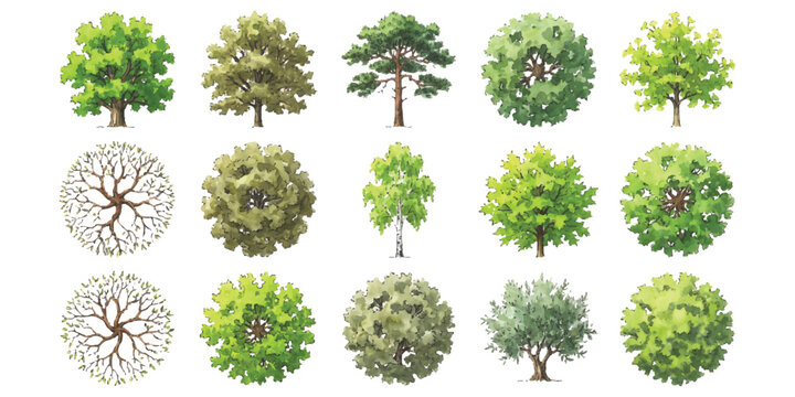 Set of different green trees seen from above for landscape design plans and architectural site site mapping projects