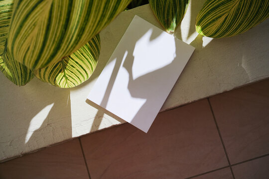 magazine mockup on tiled background with Canna generalis leaves