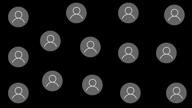 Multiple profile icons and prominent connections. User network interface representing social networking, communication, team collaboration. 2D motion graphics in 4K resolution with alpha channel.