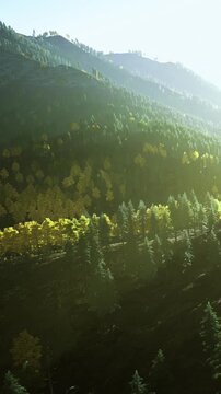 Sunrise lights up a mountainous area filled with green trees and patches of golden leaves. The scene shows a variety of trees and a peaceful setting in nature.