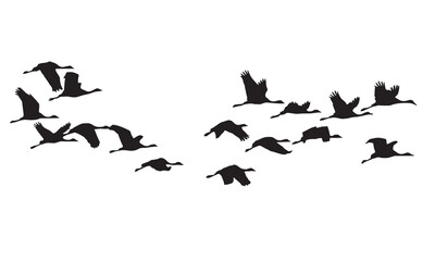 Fototapeta premium A vector illustration of graceful Demoiselle Cranes flying in a flock across the sky.