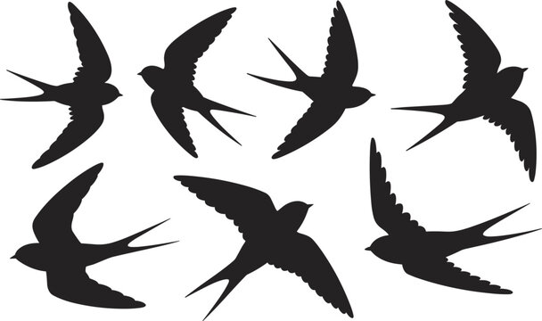 Flying swallow bird silhouettes set black wildlife vector illustration isolated collection design elements for nature themes