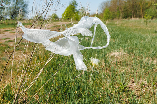 Shredded white plastic bag snagged on dry plant branches in a green field representing environmental pollution