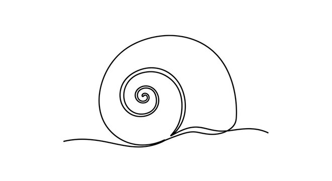 Continuous line drawing of a snail shell