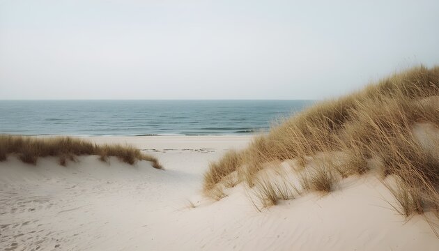 Coastal Grass Dunes with Calm Blue Sea Landscape