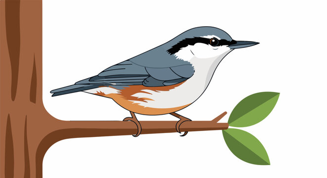 A stylized nuthatch perched on a branch against a white background