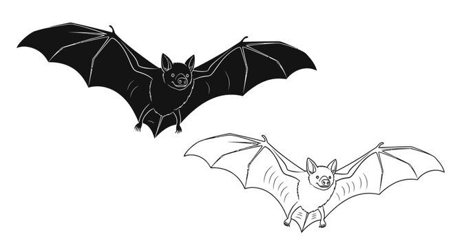Black and white flying bat illustration set isolated on white background