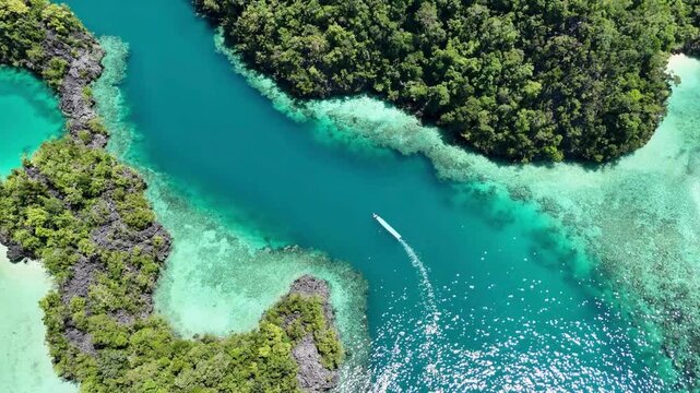 A breathtaking aerial drone shot of the famous Twin Lakes lagoon in Labengki, Sulawesi, Indonesia. Crystal-clear turquoise water flows between untouched tropical rainforest islands, revealing hidden l