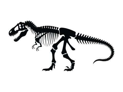 T rex skeleton negative space silhouette illustration of dinosaur fossil structure in minimalist black and white design