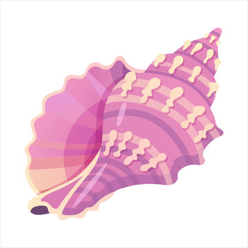 Purple triton sea shell isolated on white background. Tropical marine underwater nature element. Flat vector illustration of large seashell