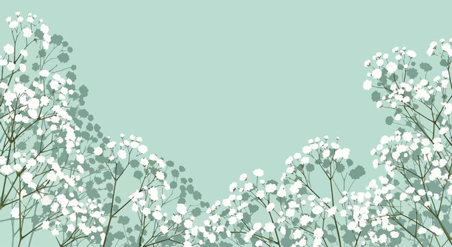 Detailed macro illustration of delicate white gypsophila baby's breath flowers and green stems arranged on a solid white background, high-resolution vector graphics for floral design.