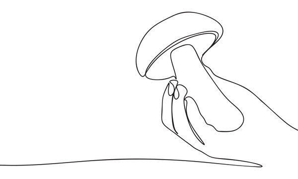 Hand holding a mushroom in a continuous line drawing