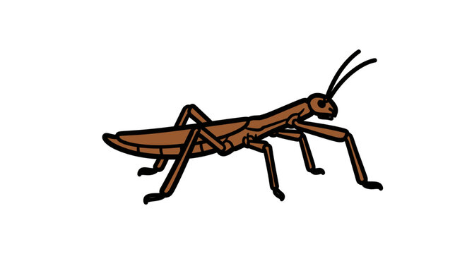 Illustration of a brown praying mantis insect against a clean white background