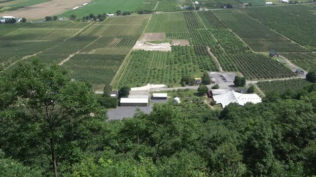 High-angle aerial view of a sprawling apple orchard and farmland with geometric crop rows, farm buildings, and a packing facility under a bright daylight sky