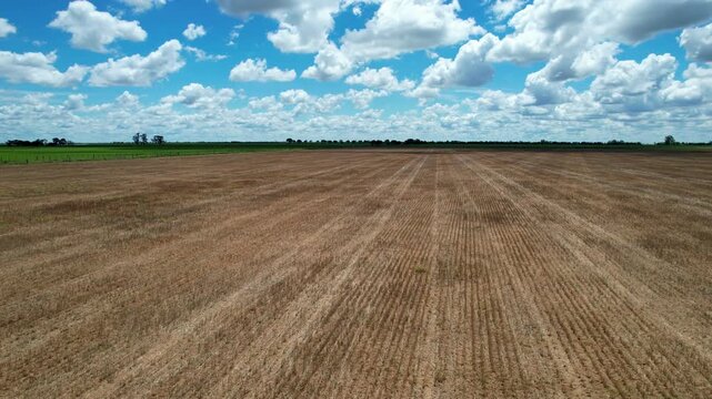 Drone movement from left to right over dry harvested land showing soybean stubble furrows and machinery tire tracks under a blue sky with white clouds in the fertile Argentine pampas