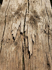 Fototapeta premium Close-up of weathered and cracked wooden surface