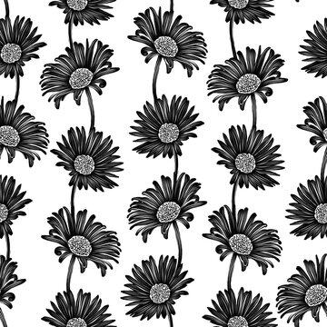 Vector seamless pattern with black and white chrysanthemums in a row