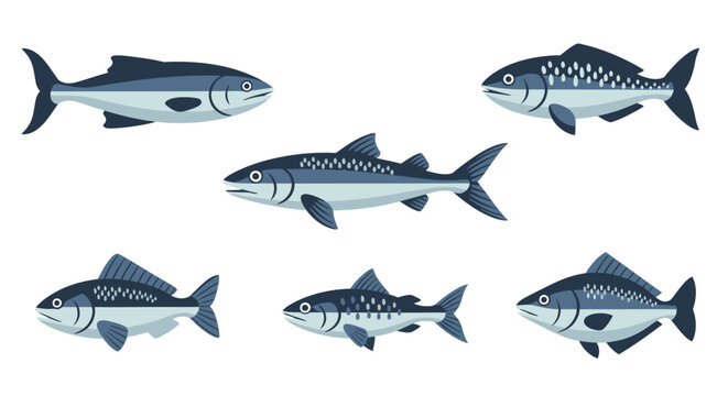 Set of stylized fish illustrations diverse marine species in a vector format