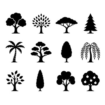 Black silhouettes of various trees and tree types