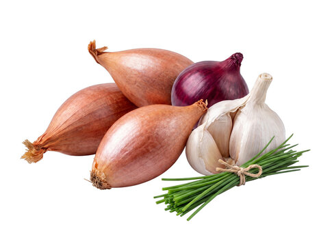 Essential fresh aromatic cooking ingredients: shallots, garlic, red onion, and a bundle of vibrant chives.