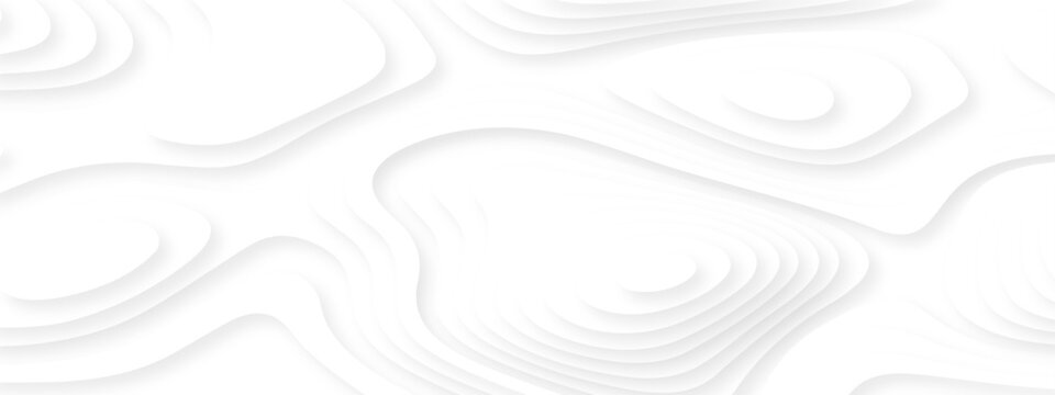 white topography map geography relief diagram texture design. Topography white background and black line world map texture design. Lines Topographic contour lines grid map seamless pattern.